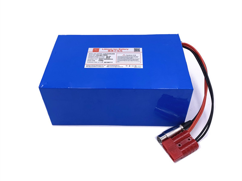 48V 20Ah电动摩托锂离子电池